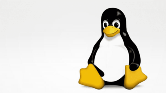 Referenzbild Linux